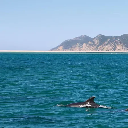 Casa S. Tiago * Setúbal