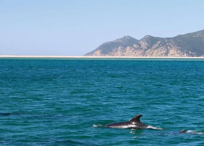 Casa S. Tiago * Setúbal