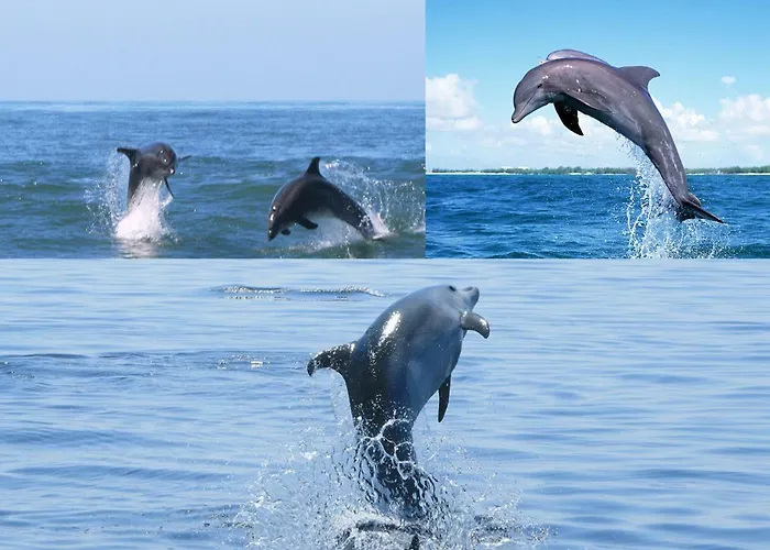 Apartmán Casa S. Tiago